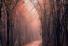 天涯社区创业者：我的网路冒险记。