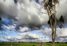 天涯社区创业者：我的网路冒险记。