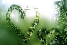 天涯社区创业者：我的网路冒险记。