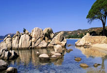 天涯社区创业者：我的网路冒险记。